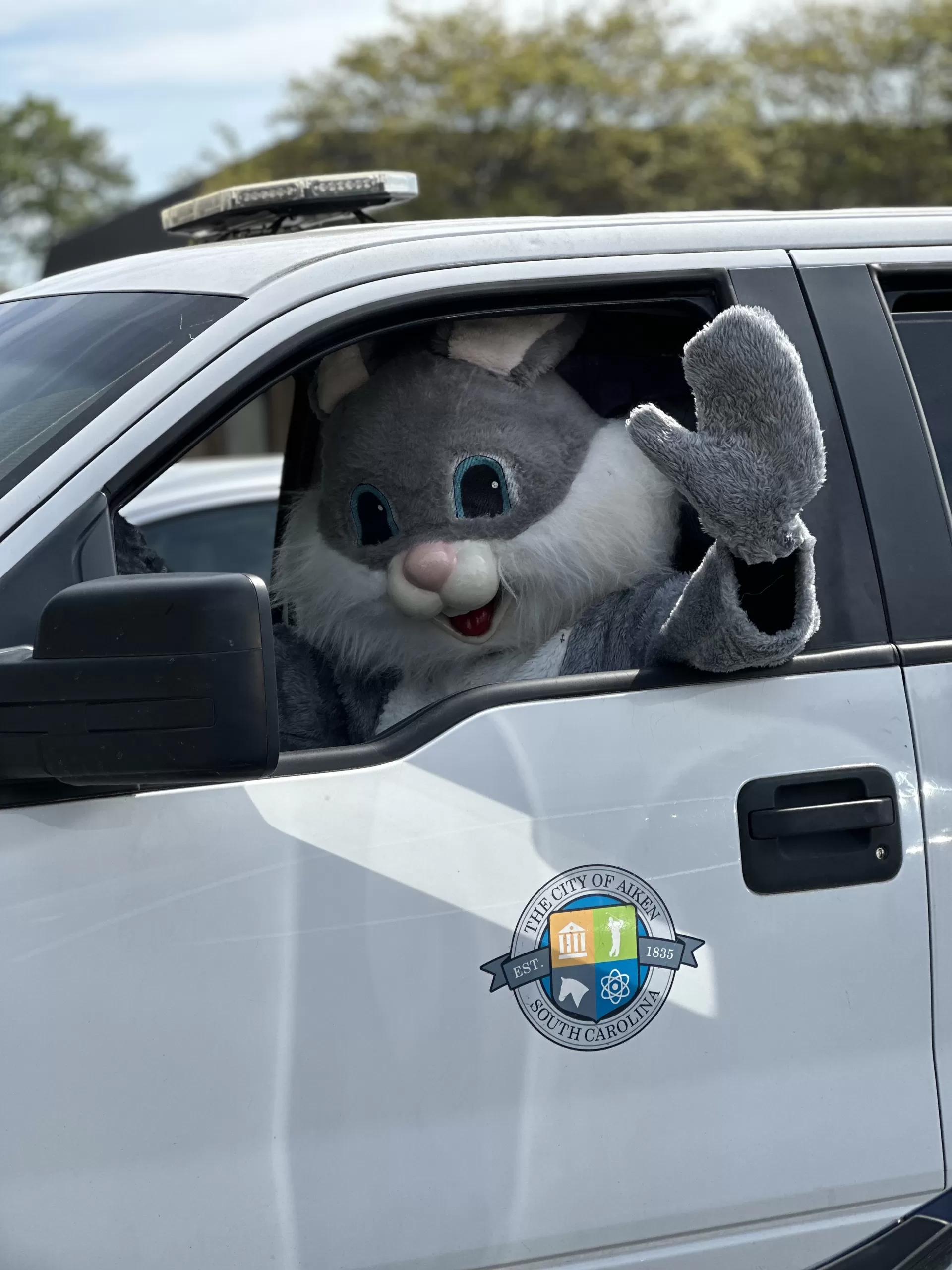 Bunny driving city truck